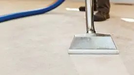 Carpet cleaning wand head gliding over a light carpet during hot-water extraction, Jacksonville, FL.